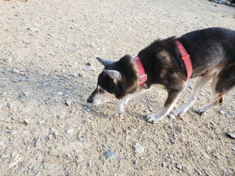 f:id:roukenhome-ann:20190917105731j:plain