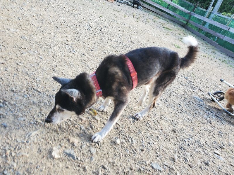 f:id:roukenhome-ann:20190917105737j:plain
