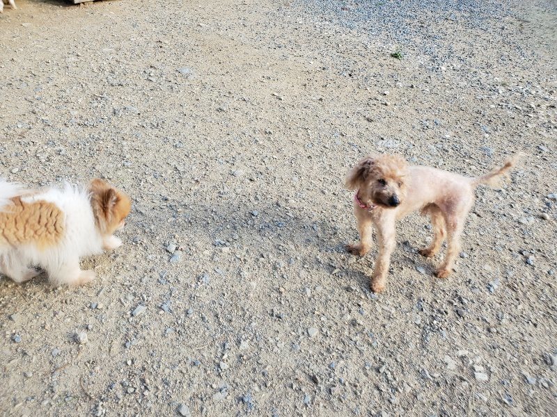 f:id:roukenhome-ann:20190917105754j:plain