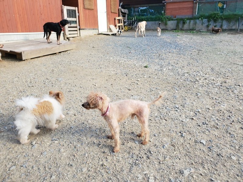 f:id:roukenhome-ann:20190917105759j:plain