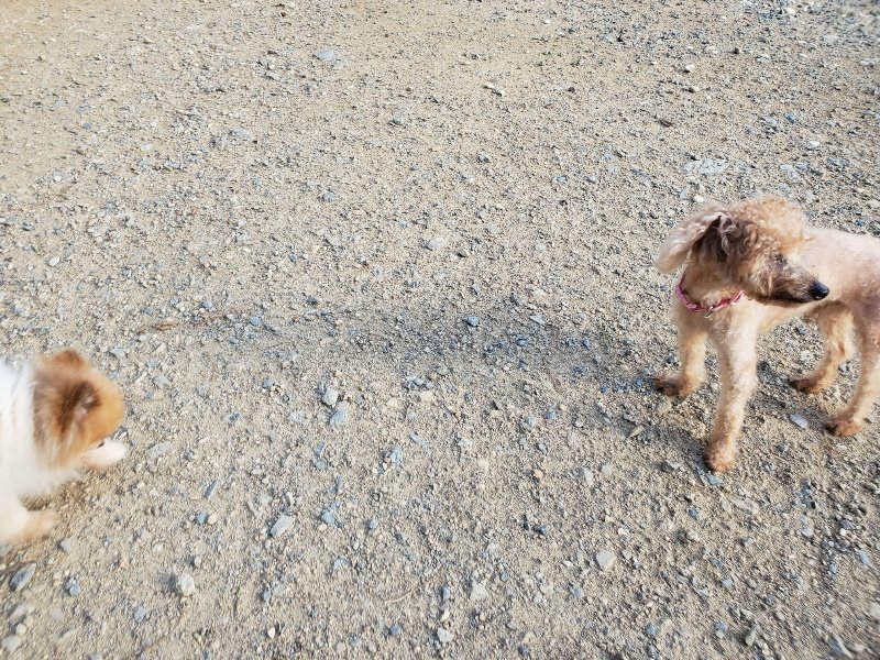 f:id:roukenhome-ann:20190917105812j:plain