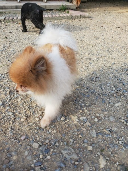 f:id:roukenhome-ann:20190917105820j:plain