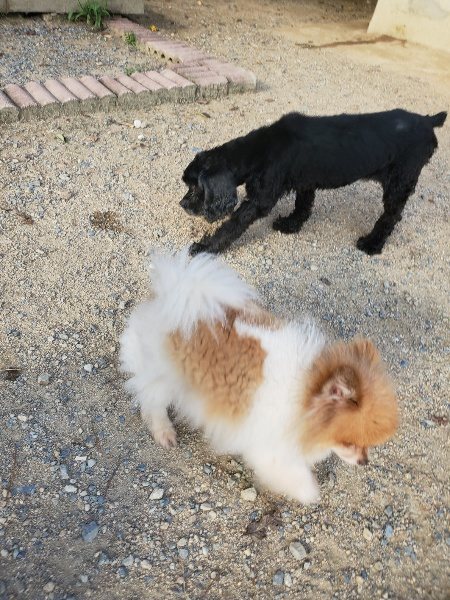 f:id:roukenhome-ann:20190917105827j:plain