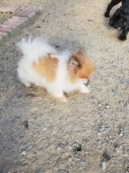 f:id:roukenhome-ann:20190917105850j:plain