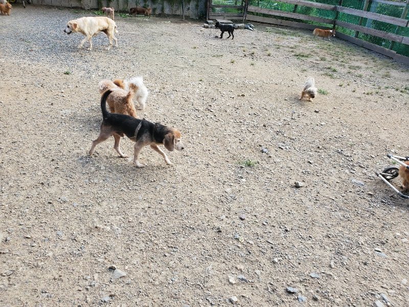 f:id:roukenhome-ann:20190917105907j:plain