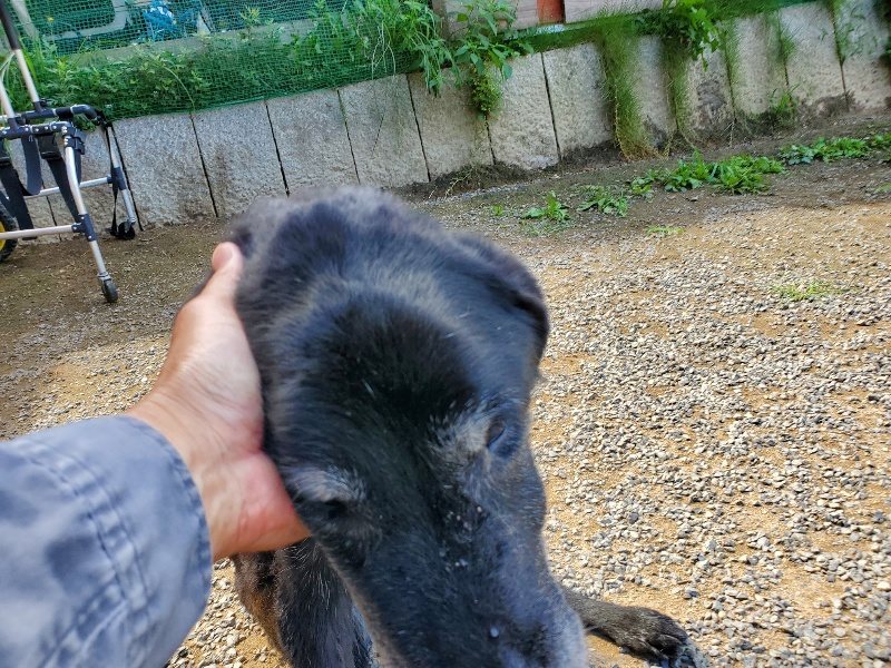 f:id:roukenhome-ann:20190918130023j:plain