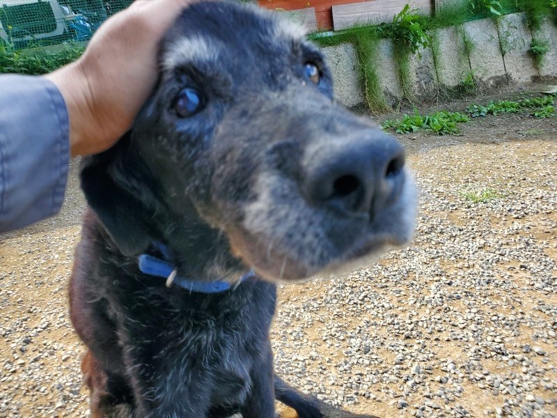 f:id:roukenhome-ann:20190918130028j:plain