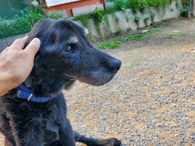 f:id:roukenhome-ann:20190918130039j:plain