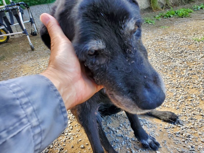 f:id:roukenhome-ann:20190918130048j:plain