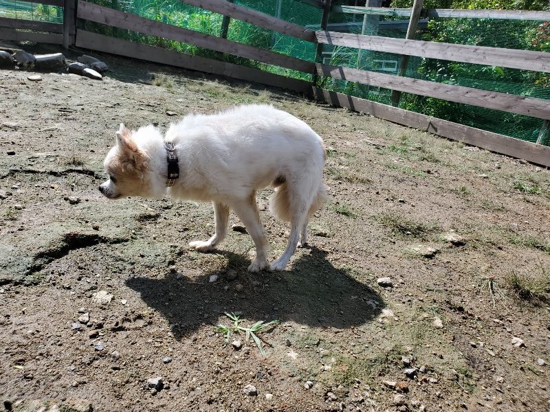 f:id:roukenhome-ann:20190923184549j:plain f:id:roukenhome-ann:20190923184549j:plain