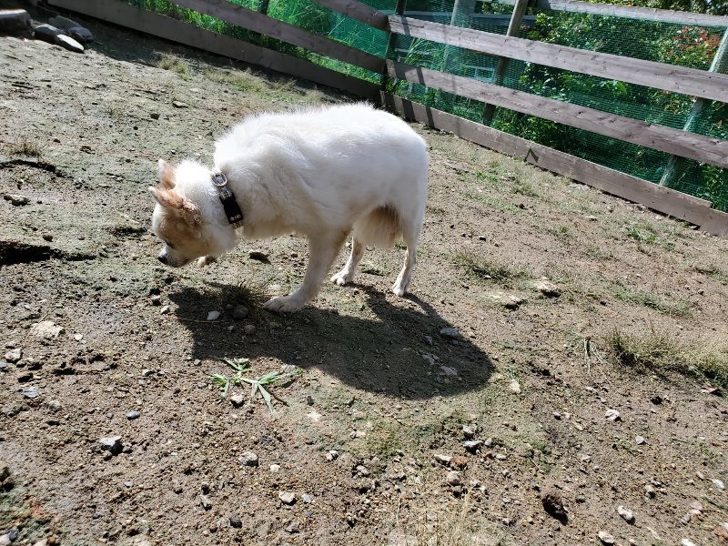 f:id:roukenhome-ann:20190923184610j:plain f:id:roukenhome-ann:20190923184610j:plain