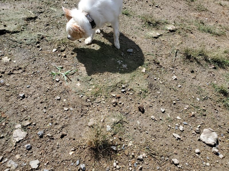 f:id:roukenhome-ann:20190923184654j:plain f:id:roukenhome-ann:20190923184654j:plain