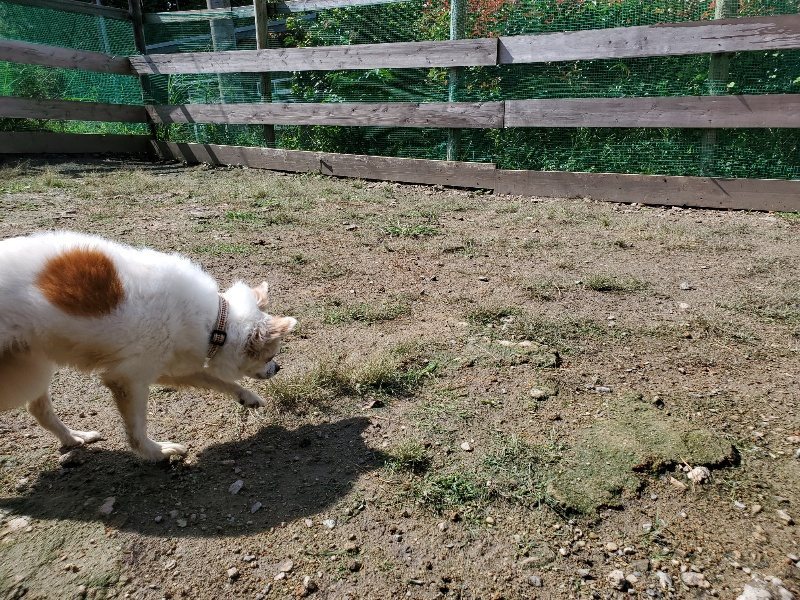 f:id:roukenhome-ann:20190923184714j:plain f:id:roukenhome-ann:20190923184714j:plain