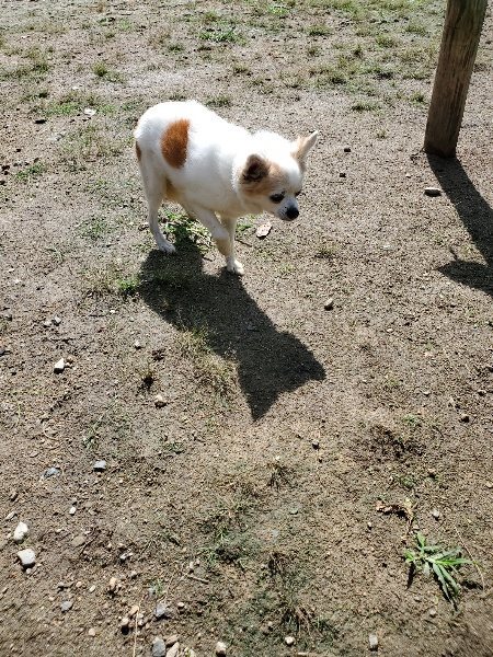 f:id:roukenhome-ann:20190923184727j:plain f:id:roukenhome-ann:20190923184727j:plain