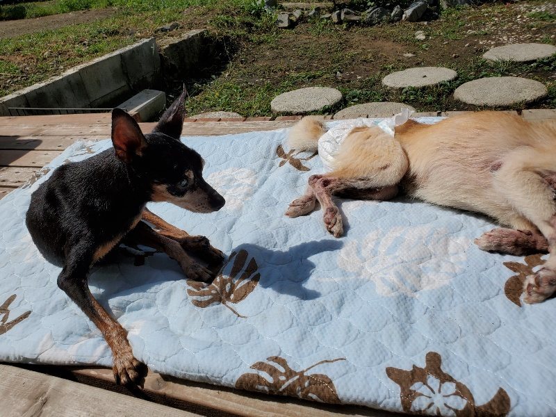 f:id:roukenhome-ann:20190923185426j:plain f:id:roukenhome-ann:20190923185426j:plain