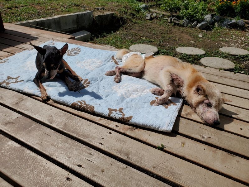 f:id:roukenhome-ann:20190923185528j:plain f:id:roukenhome-ann:20190923185528j:plain