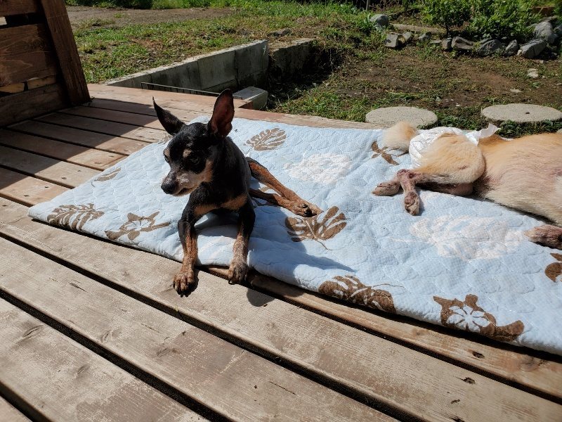 f:id:roukenhome-ann:20190923185558j:plain f:id:roukenhome-ann:20190923185558j:plain
