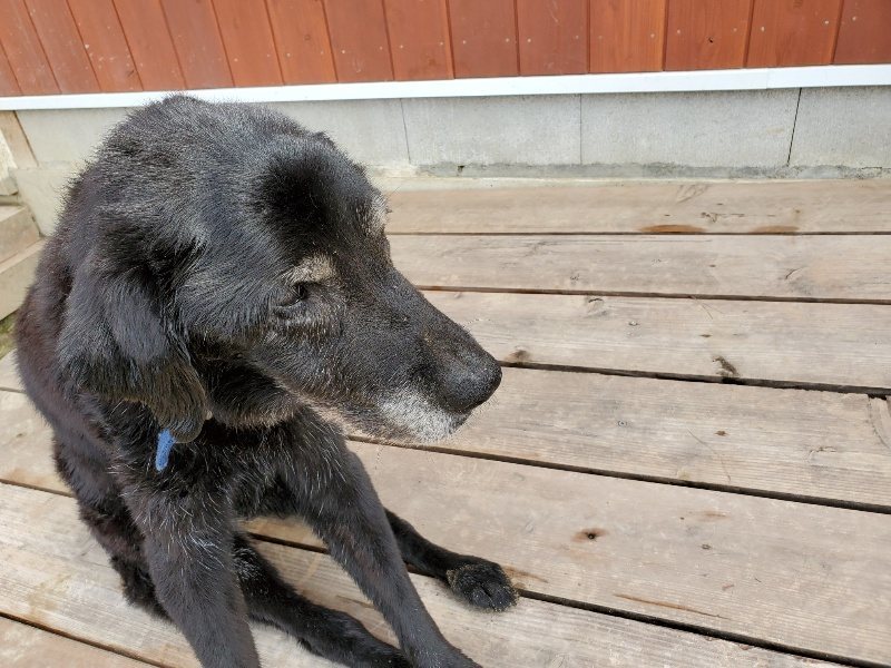 f:id:roukenhome-ann:20190923190219j:plain f:id:roukenhome-ann:20190923190219j:plain