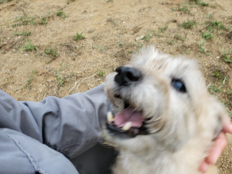 f:id:roukenhome-ann:20190923200111j:plain f:id:roukenhome-ann:20190923200111j:plain