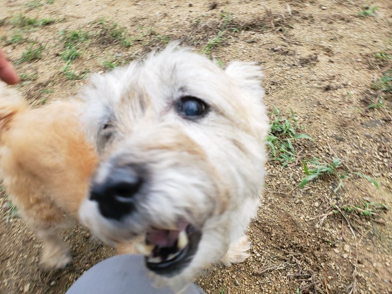f:id:roukenhome-ann:20190923200144j:plain f:id:roukenhome-ann:20190923200144j:plain