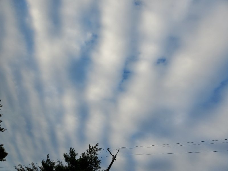 f:id:roukenhome-ann:20190923200253j:plain f:id:roukenhome-ann:20190923200253j:plain