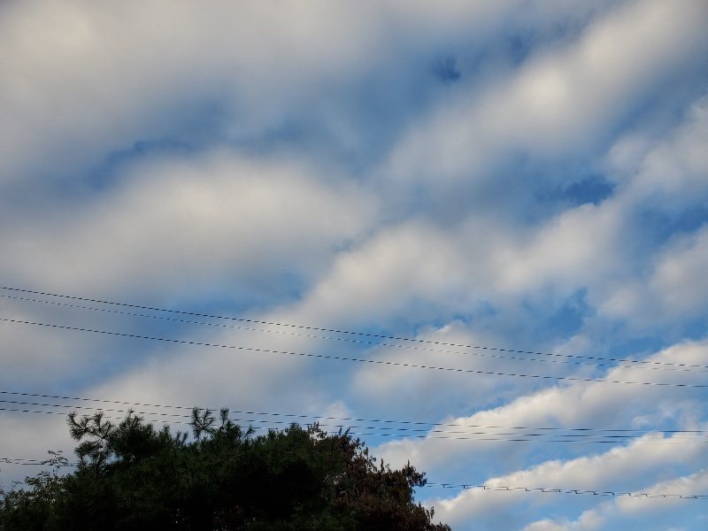 f:id:roukenhome-ann:20190923200325j:plain f:id:roukenhome-ann:20190923200325j:plain
