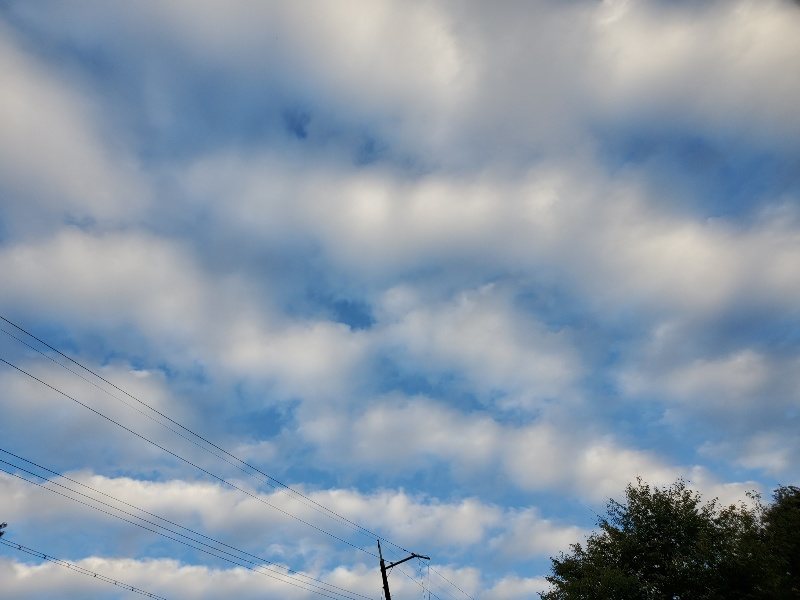 f:id:roukenhome-ann:20190923200539j:plain f:id:roukenhome-ann:20190923200539j:plain
