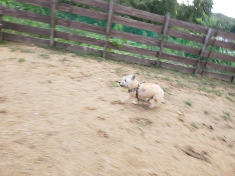 f:id:roukenhome-ann:20190923200618j:plain f:id:roukenhome-ann:20190923200618j:plain