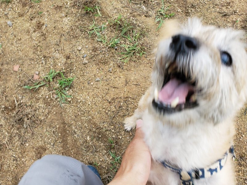 f:id:roukenhome-ann:20190923200731j:plain f:id:roukenhome-ann:20190923200731j:plain