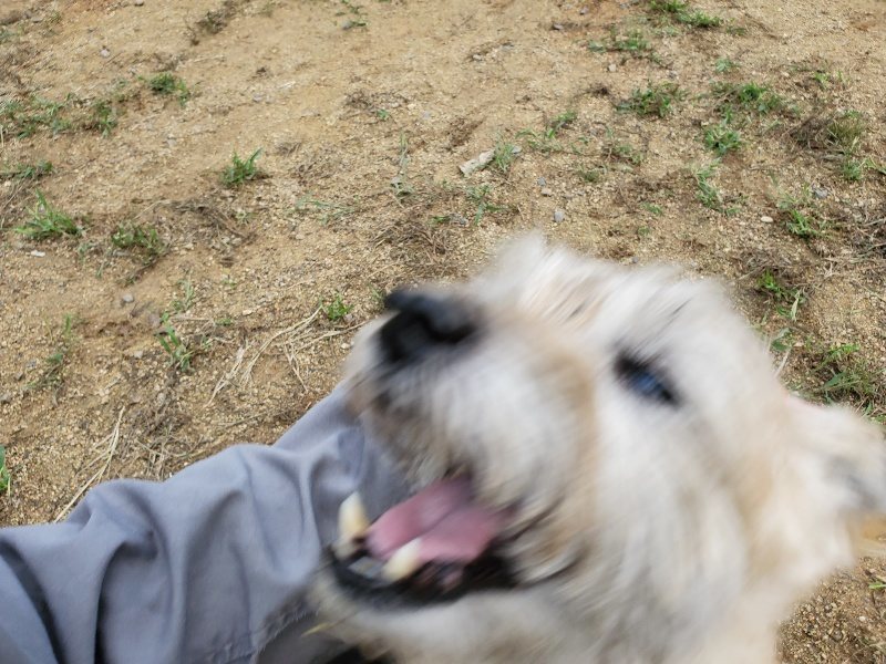 f:id:roukenhome-ann:20190923200750j:plain f:id:roukenhome-ann:20190923200750j:plain