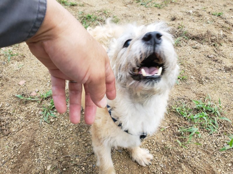 f:id:roukenhome-ann:20190923200840j:plain f:id:roukenhome-ann:20190923200840j:plain