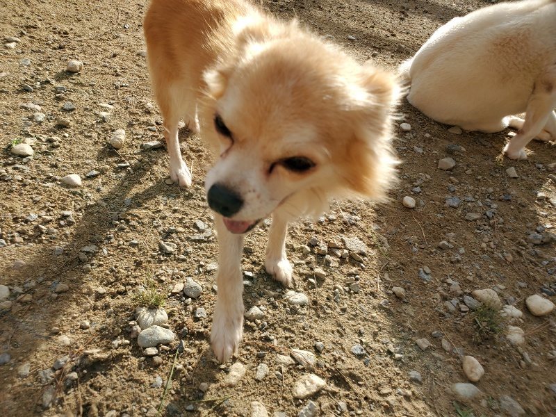 f:id:roukenhome-ann:20190923201248j:plain f:id:roukenhome-ann:20190923201248j:plain