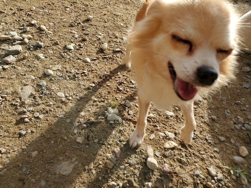 f:id:roukenhome-ann:20190923201335j:plain f:id:roukenhome-ann:20190923201335j:plain