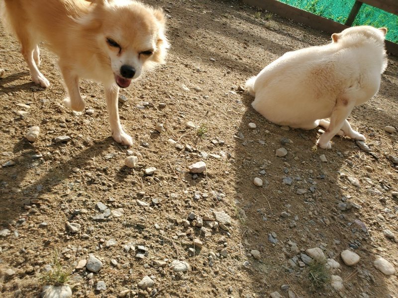 f:id:roukenhome-ann:20190923201402j:plain f:id:roukenhome-ann:20190923201402j:plain