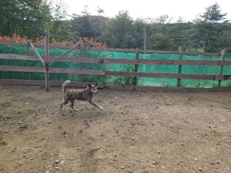 f:id:roukenhome-ann:20190923201418j:plain f:id:roukenhome-ann:20190923201418j:plain