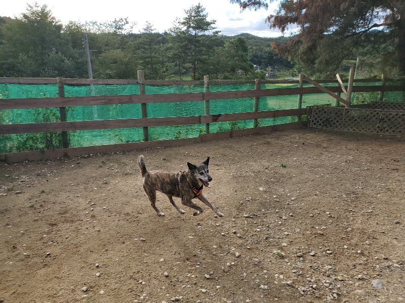 f:id:roukenhome-ann:20190923201431j:plain f:id:roukenhome-ann:20190923201431j:plain