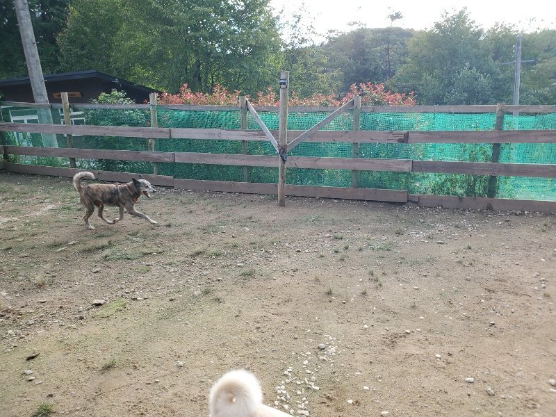 f:id:roukenhome-ann:20190923201448j:plain f:id:roukenhome-ann:20190923201448j:plain