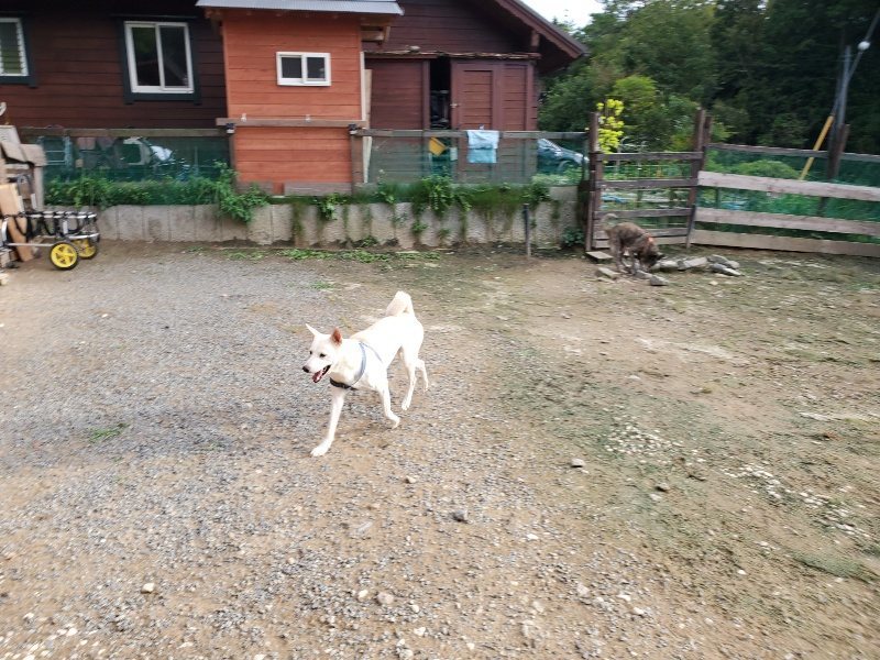 f:id:roukenhome-ann:20190923201456j:plain f:id:roukenhome-ann:20190923201456j:plain