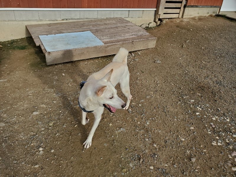 f:id:roukenhome-ann:20190923201511j:plain f:id:roukenhome-ann:20190923201511j:plain