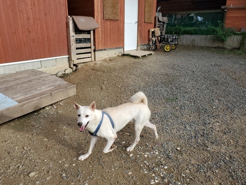 f:id:roukenhome-ann:20190923201527j:plain f:id:roukenhome-ann:20190923201527j:plain
