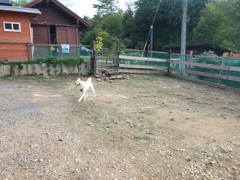 f:id:roukenhome-ann:20190923201540j:plain f:id:roukenhome-ann:20190923201540j:plain