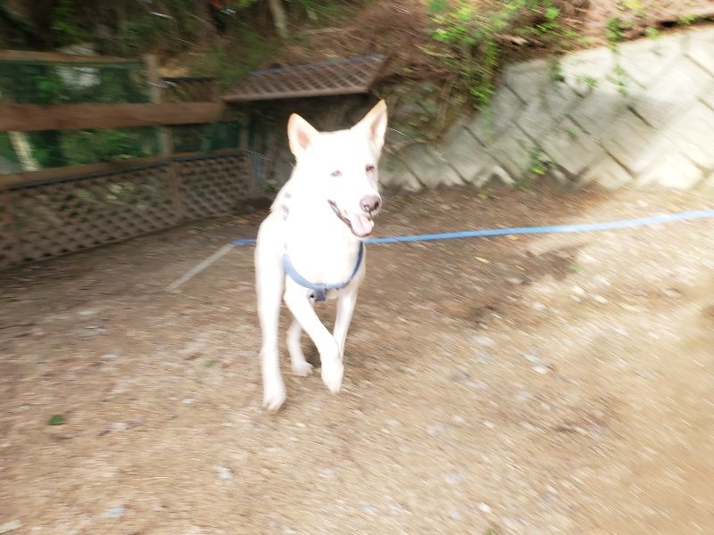 f:id:roukenhome-ann:20190923201551j:plain f:id:roukenhome-ann:20190923201551j:plain
