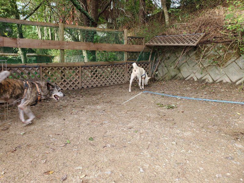 f:id:roukenhome-ann:20190923201615j:plain f:id:roukenhome-ann:20190923201615j:plain