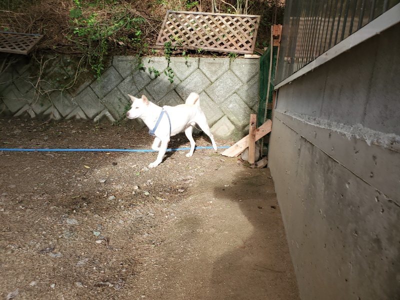 f:id:roukenhome-ann:20190923201635j:plain f:id:roukenhome-ann:20190923201635j:plain