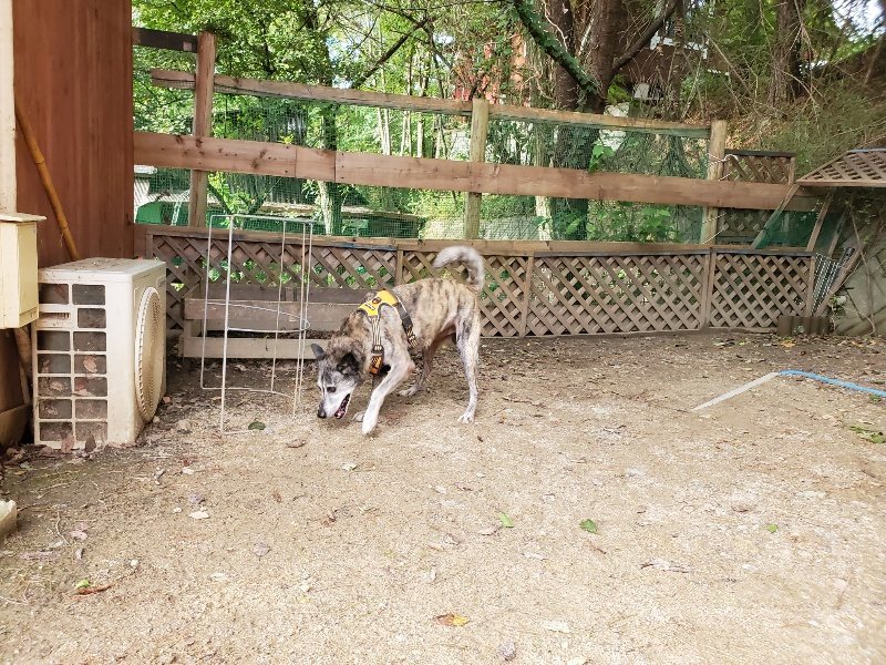 f:id:roukenhome-ann:20190923201645j:plain f:id:roukenhome-ann:20190923201645j:plain
