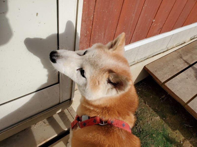 f:id:roukenhome-ann:20190923201706j:plain f:id:roukenhome-ann:20190923201706j:plain