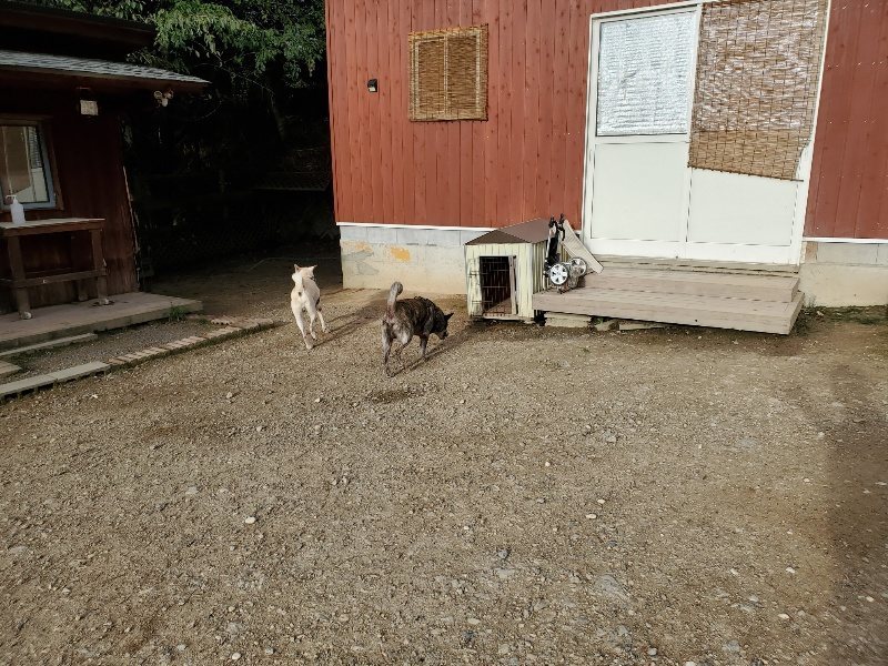 f:id:roukenhome-ann:20190923201715j:plain f:id:roukenhome-ann:20190923201715j:plain
