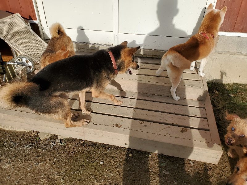 f:id:roukenhome-ann:20190923201733j:plain f:id:roukenhome-ann:20190923201733j:plain