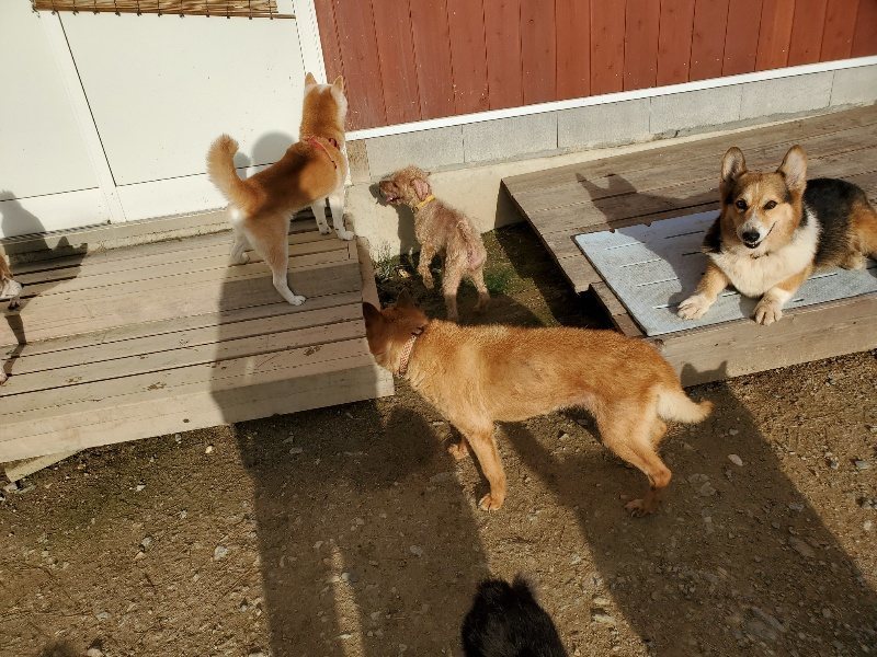 f:id:roukenhome-ann:20190923201800j:plain f:id:roukenhome-ann:20190923201800j:plain