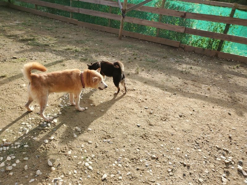 f:id:roukenhome-ann:20190923201814j:plain f:id:roukenhome-ann:20190923201814j:plain